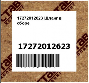 17272012623 Шланг в сборе