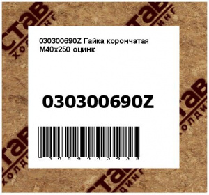 030300690Z Гайка корончатая М40х250 оцинк