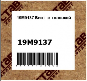 19M9137 Винт  с  головкой