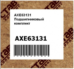 AXE63131 Подшипниковый  комплект