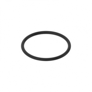 PMLSQ200-RV Уплотнительное  кольцо