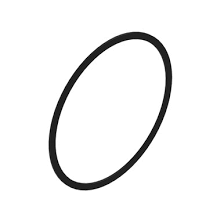 R81862 Опорное кольцо