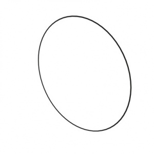 R320887 Уплотнительное  кольцо