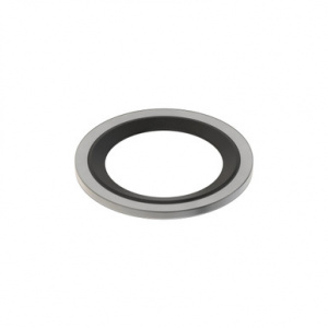 DZ107007 Сальник