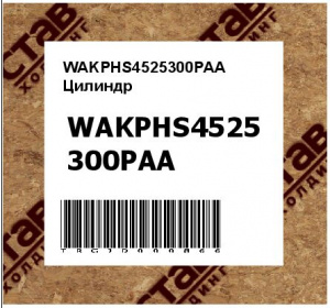 WAKPHS4525300PAA Цилиндр  