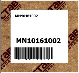 MN10161002