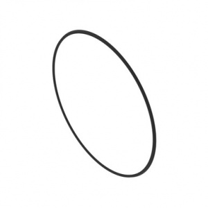 R169151 Сальник