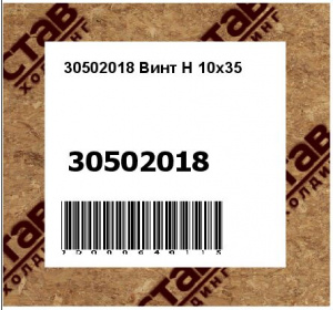 Винт H 10x35