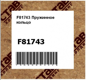 F81743 Пружинное  кольцо