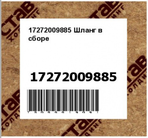 17272009885 Шланг в сборе