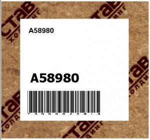 A58980