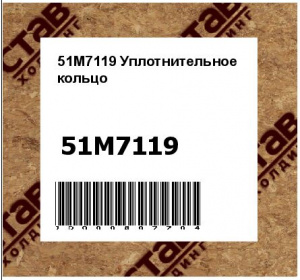 51M7119 Уплотнительное  кольцо