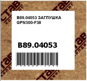 B89.04053 ЗАГЛУШКА GPN300-F38