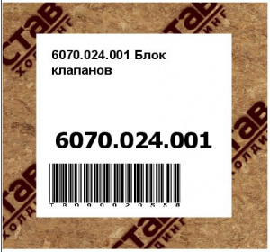 6070.024.001 Блок клапанов