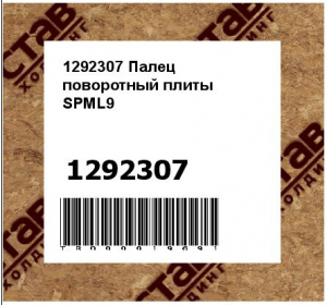 1292307 Палец поворотный плиты SPML9