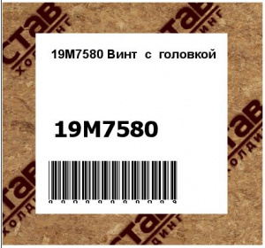 19M7580 Винт  с  головкой