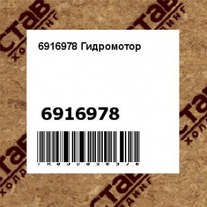 6916978 Гидромотор