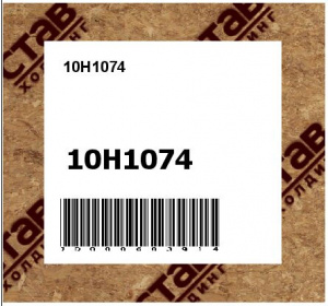 10H1074