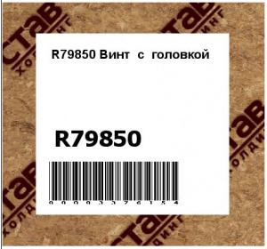 R79850 Винт  с  головкой