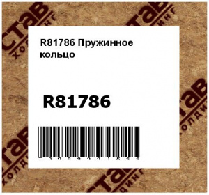 R81786 Пружинное  кольцо