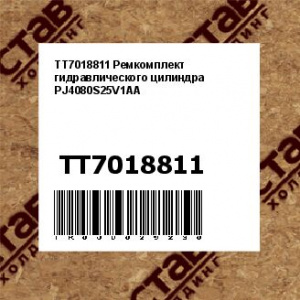TT7018811 Ремкомплект гидравлического цилиндра PJ4080S25V1AA