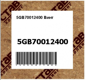 5GB70012400 Винт