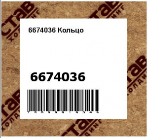 6674036 Кольцо
