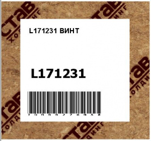 L171231 ВИНТ
