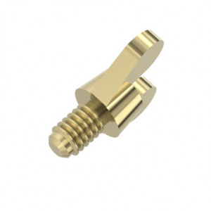 21M1689 Винт  с  барашком