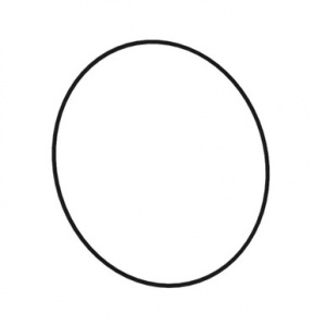 T39414 Уплотнительное  кольцо