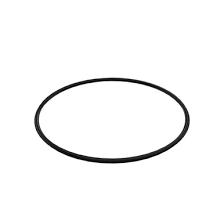 N305594 Уплотнительное  кольцо