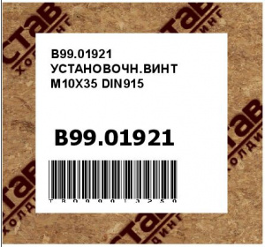 B99.01921 УСТАНОВОЧН.ВИНТ M10X35 DIN915
