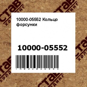 10000-05552 Кольцо форсунки