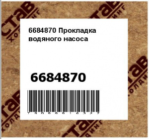 6684870 Прокладка водяного насоса 