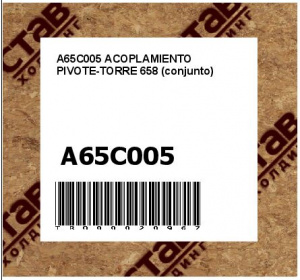 A65C005 ACOPLAMIENTO PIVOTE-TORRE 658 (conjunto)