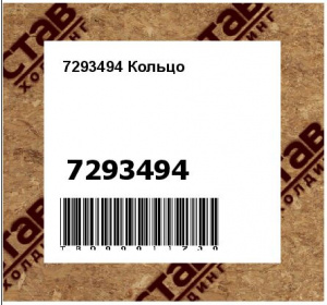 7293494 Кольцо
