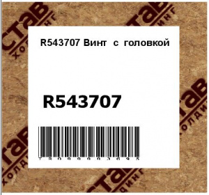 R543707 Винт  с  головкой