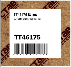 TT46175 Шток электроклапана