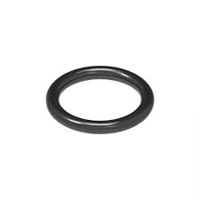 R241161 Уплотнительное  кольцо