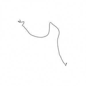 AN207545 Жгут  проводов