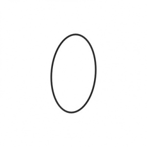 H125839 Уплотнительное  кольцо