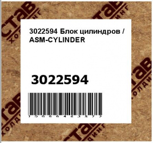 Блок цилиндров / ASM-CYLINDER