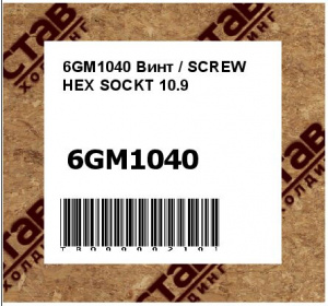 6GM1040 Винт / SCREW HEX SOCKT 10.9