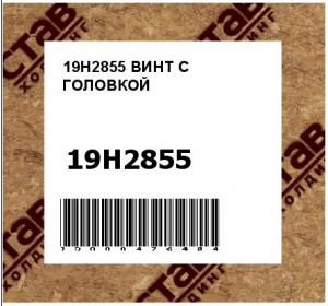 19H2855 ВИНТ С ГОЛОВКОЙ