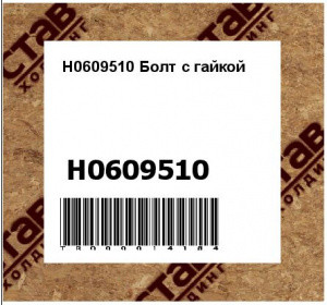 H0609510 Болт с гайкой