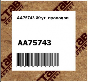 Жгут проводов