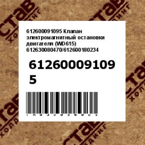 612600091095 Клапан электромагнитный остановки двигателя (WD615) 612630080470/612600180234