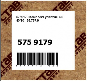5759179 Комплект уплотнений 40/80   55.757.9
