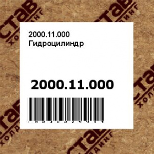 2000.11.000 Гидроцилиндр