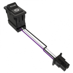 RE254460 Тумблер/кулисный  переключ.